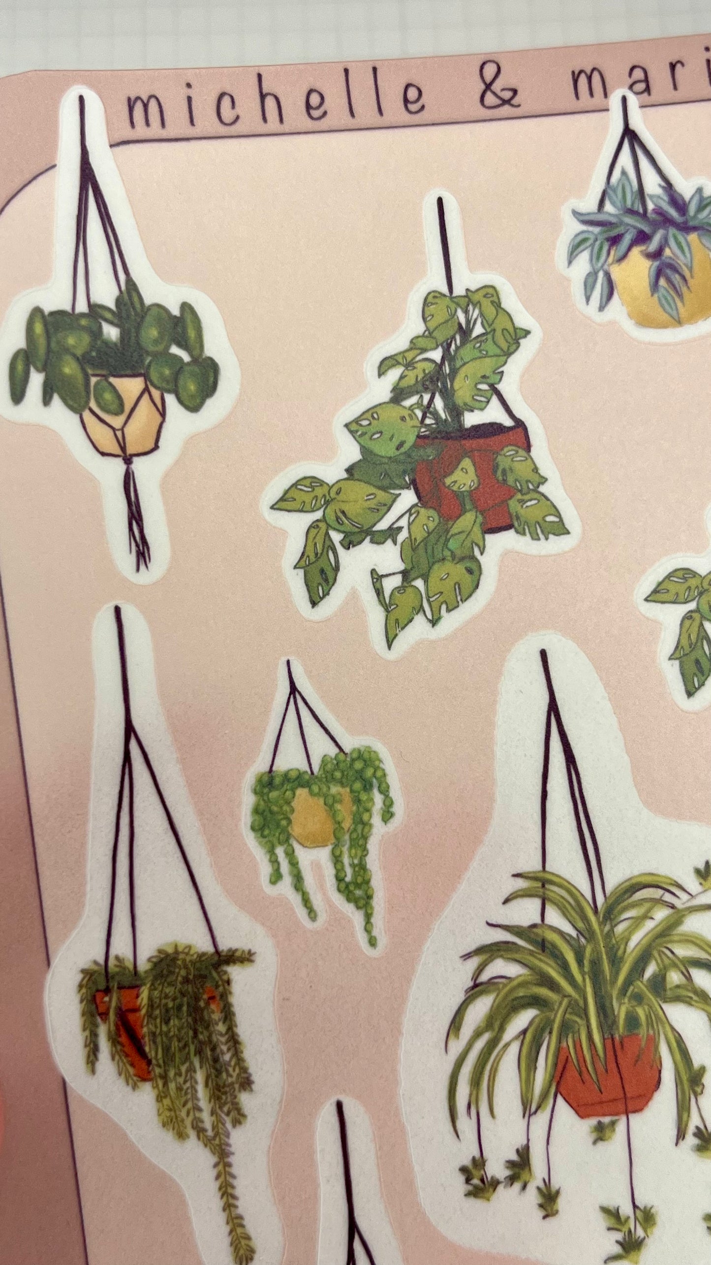 Hanging Plants Stickers