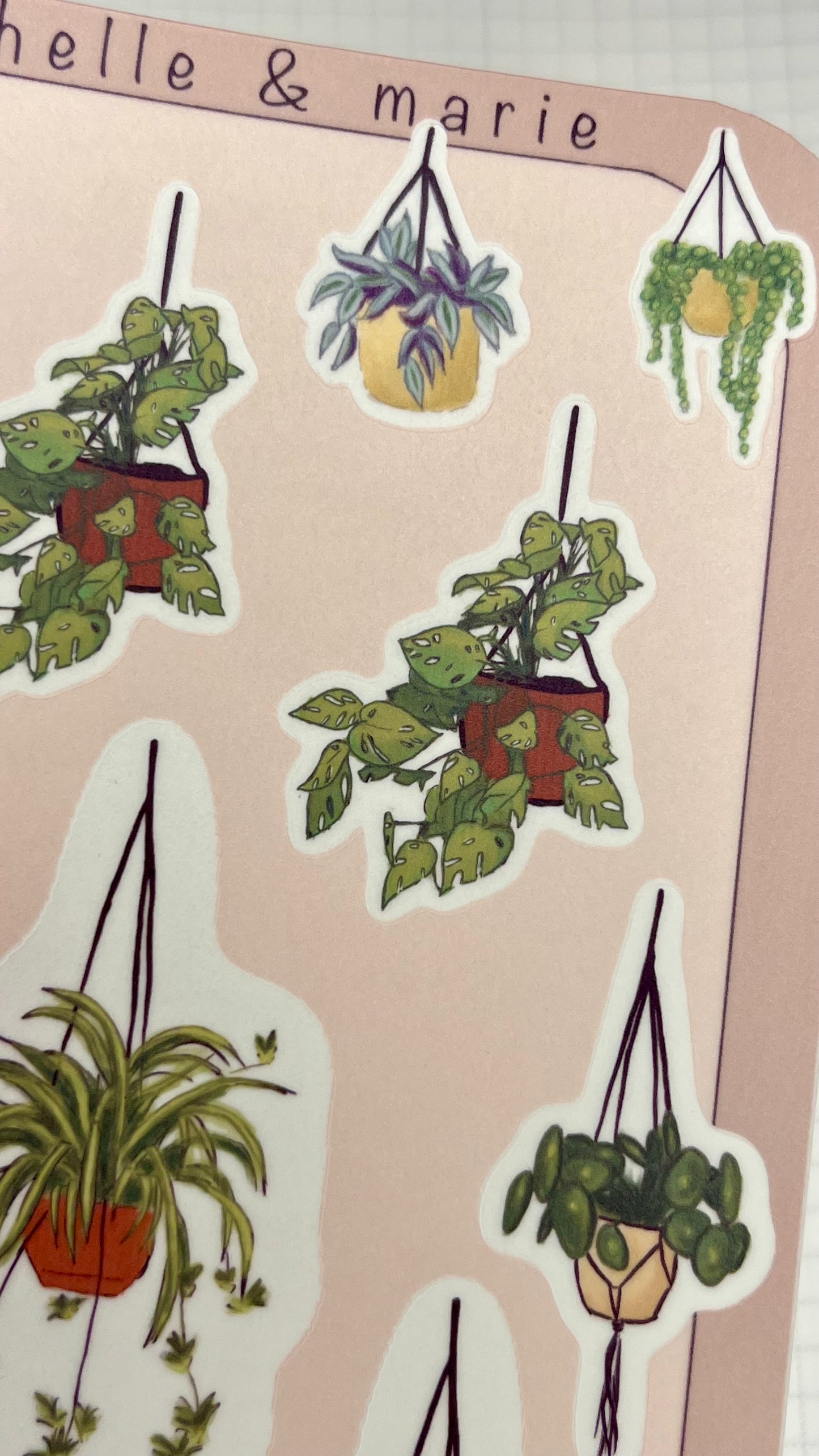 Hanging Plants Stickers