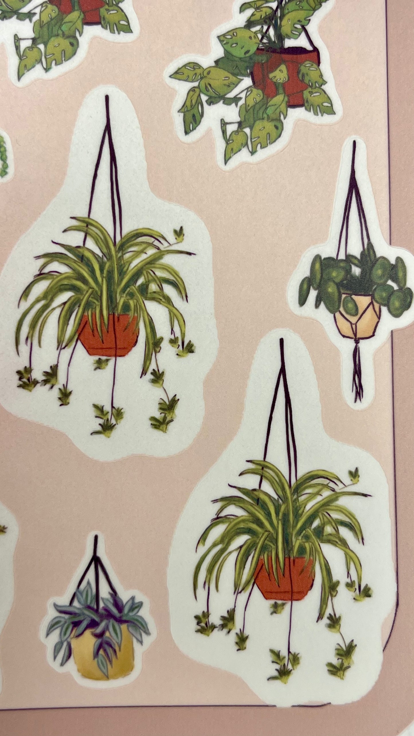 Hanging Plants Stickers