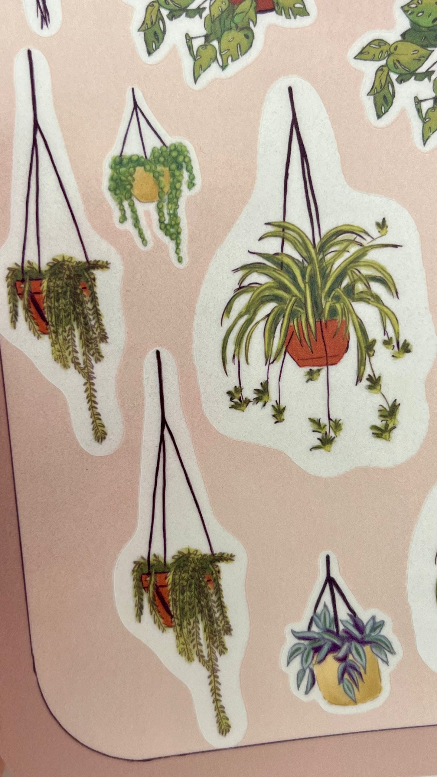 Hanging Plants Stickers