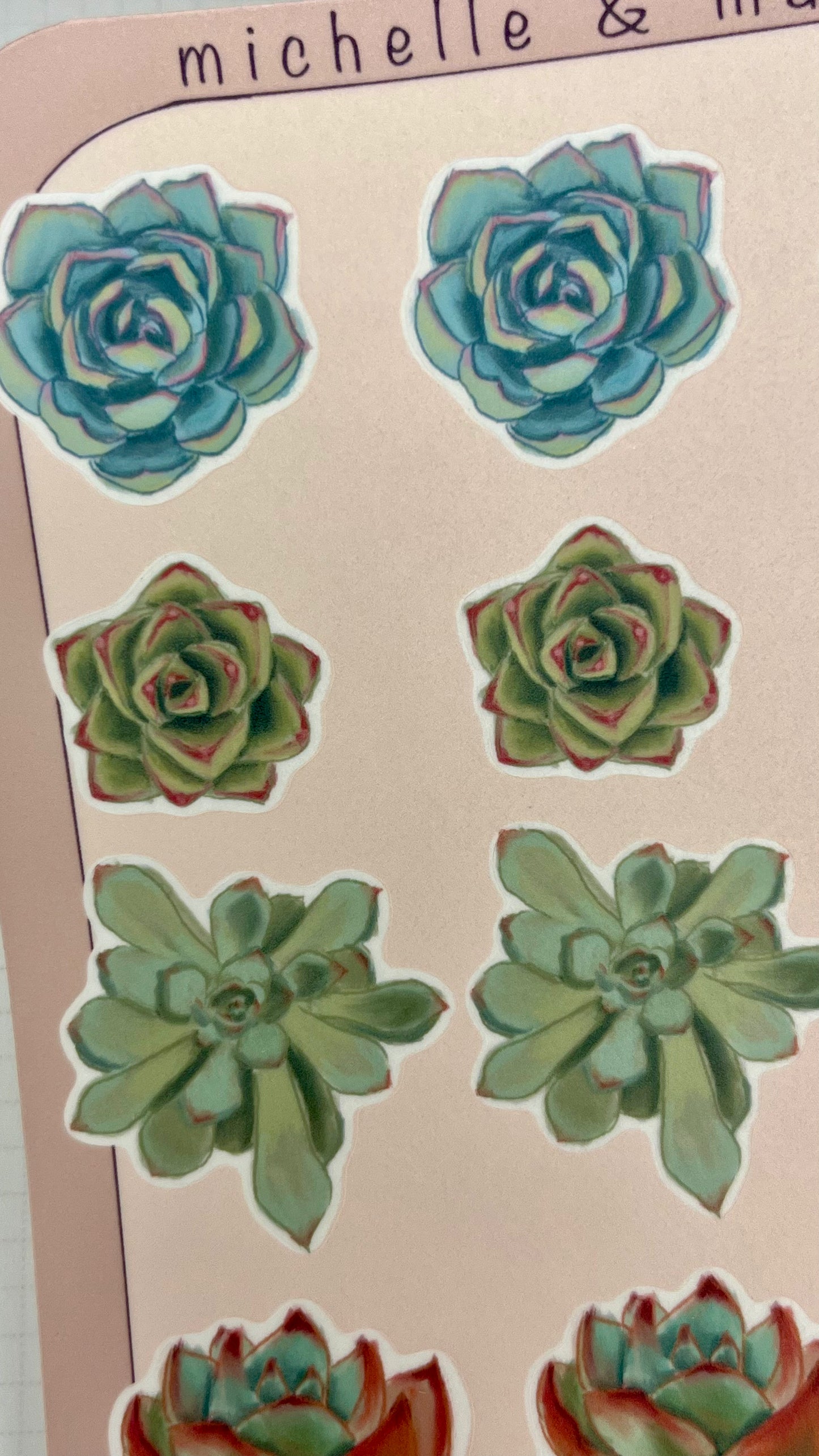 Succulent Stickers