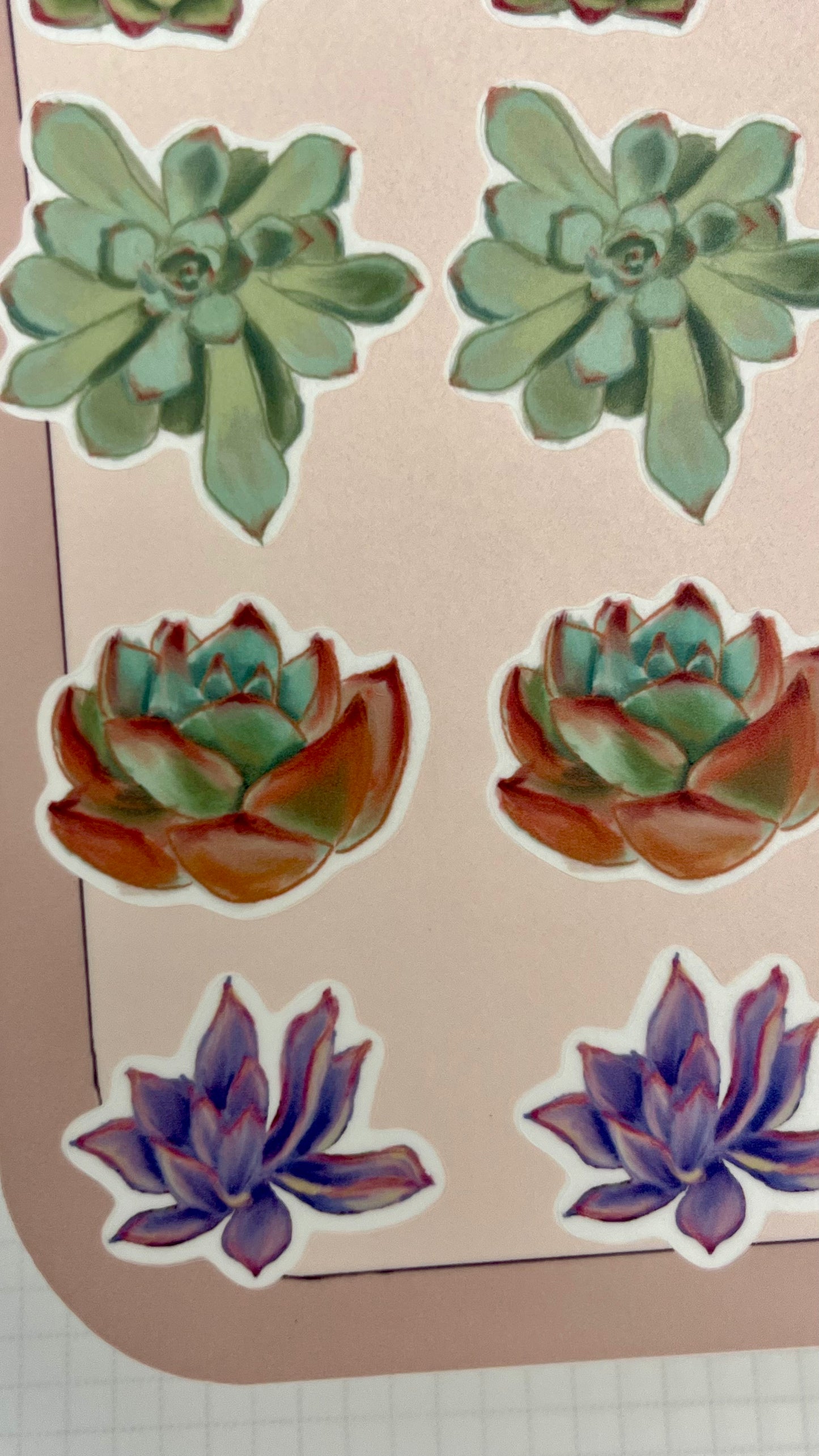 Succulent Stickers