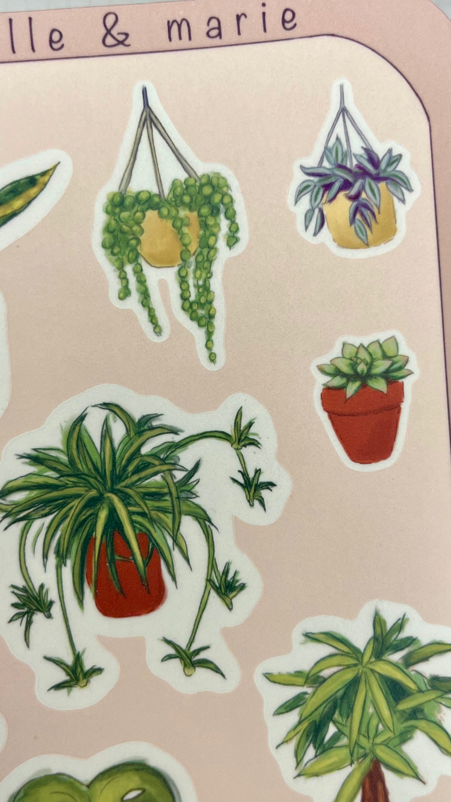 Potted Plants Stickers